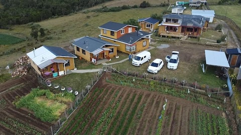 Popular Airbnb listing: Family place with a beautiful ocean view. in Dalcahue