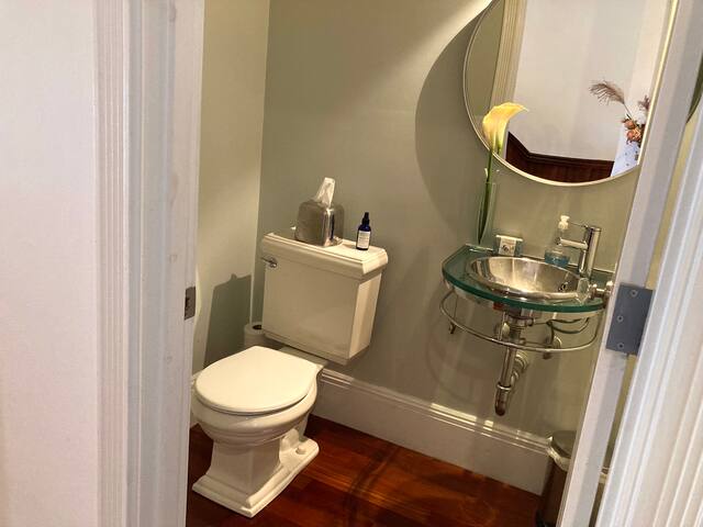 Contemporary home in Historic Back Bay Boston gallery image 5