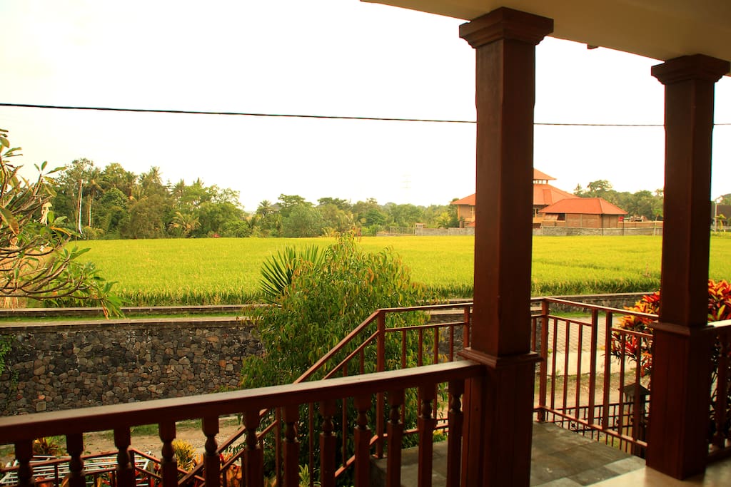 Rice Terrace View Access