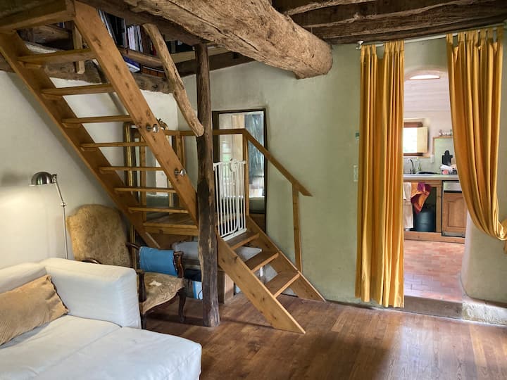 Maison Ancienne En Bretagne Romantique - Tinténiac