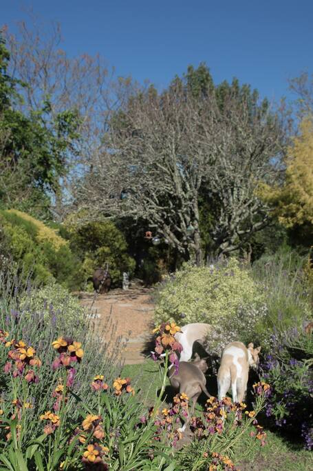 eco friendly garden