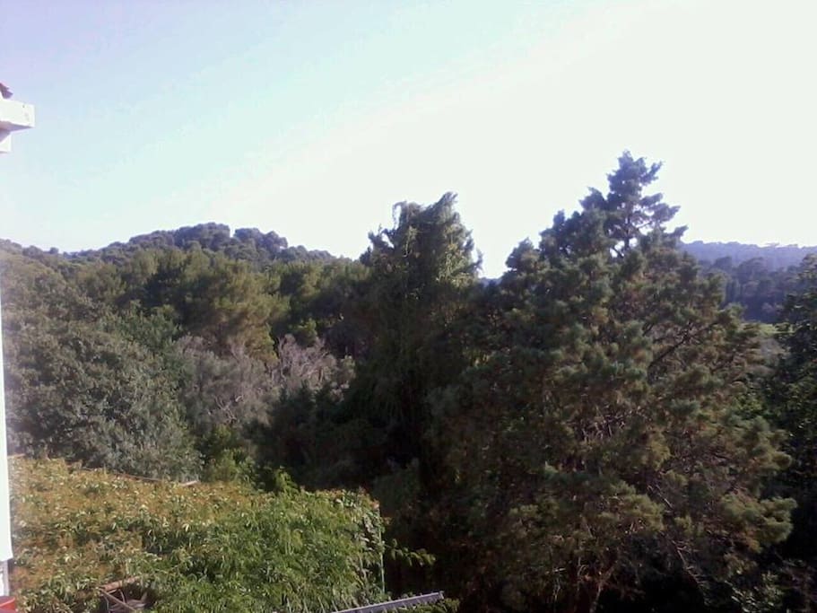 Balcony view