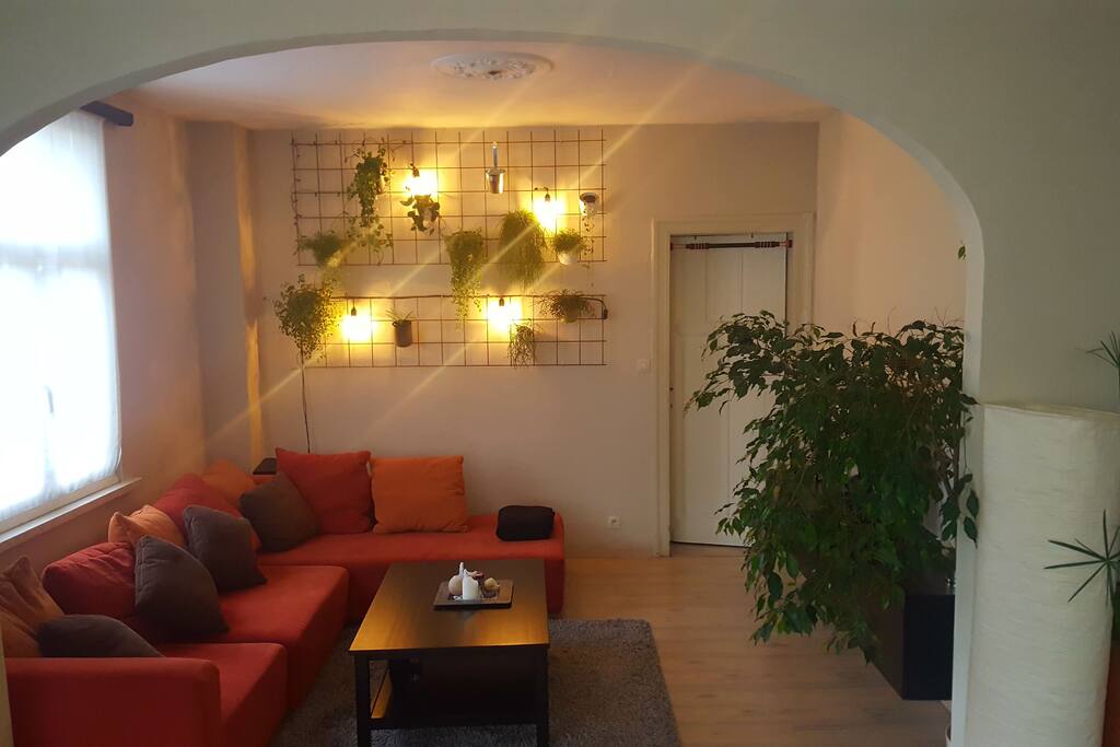 Salon met verlichtingsmuur.