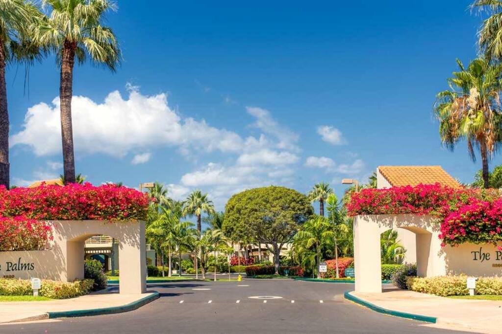 The Palms Complex Entrance