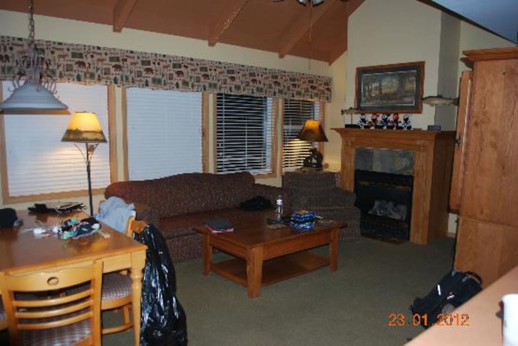 Living room w/pull out couch