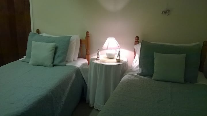 Კარუსელის საძინებელი (ტყუპი ოთახი)