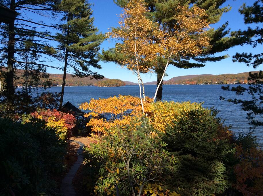 Fall Colors