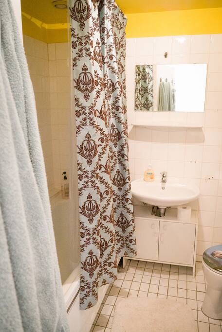 Bathroom has bathtub with shower and washing machine