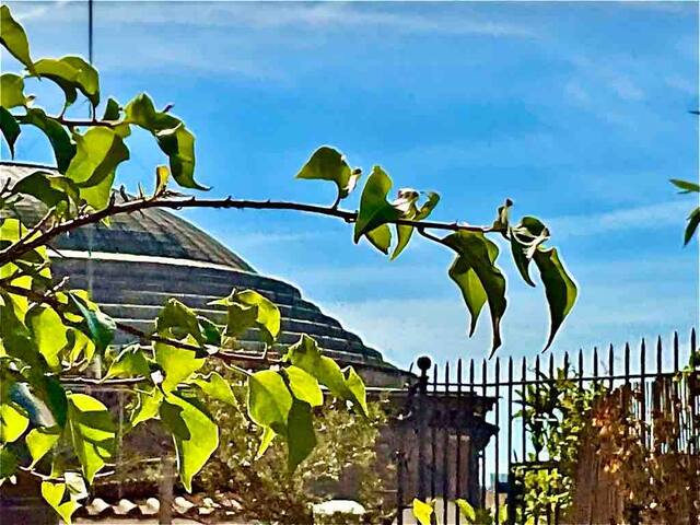 Attico con due terrazze al Pantheon, Roma gallery image 3