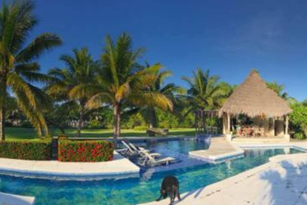Overview of the house, garden, pools and the pool ranch
