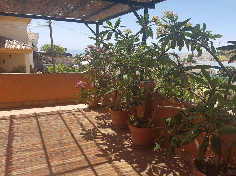 TERRAZA