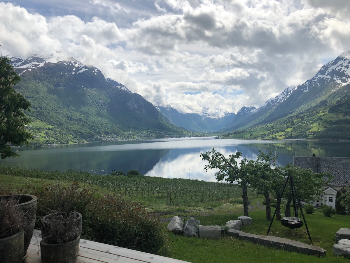 A serene view of a fjord surrounded by mountains is showcased. The water reflects the clouds above, while lush greenery lines the shore. In the foreground, potted plants and a grassy area are visible, enhancing the tranquil setting.