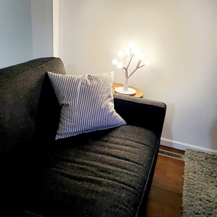 1st Street Urban Suite: Gorgeous, Fantastic Locale - Dubuque, IA