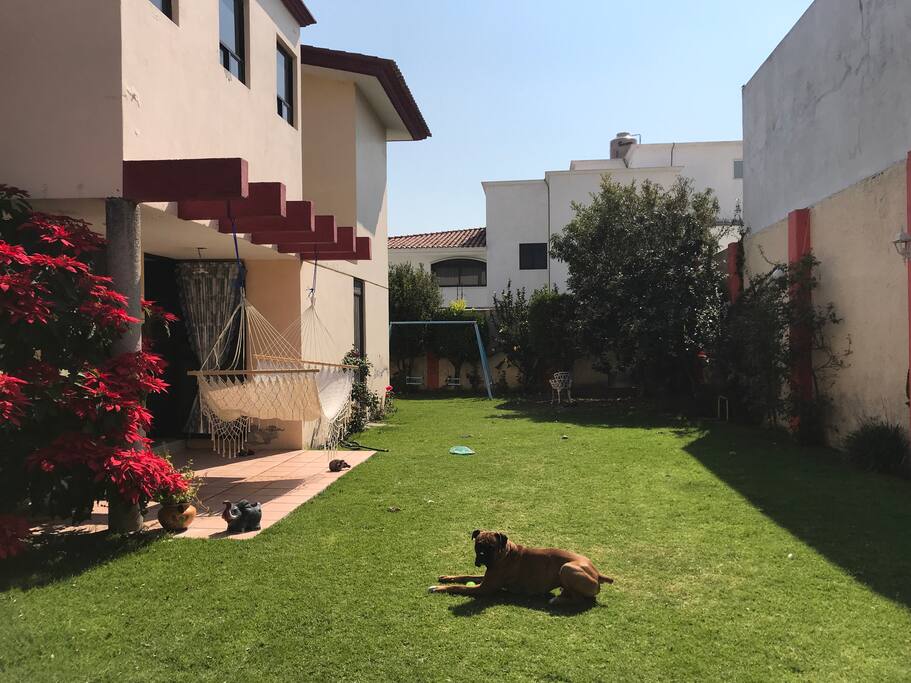 Jardín