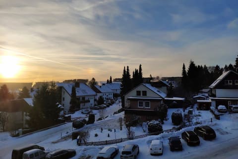 Leistungsstarkes Airbnb: Cozy small apartment with balcony and view. in Braunlage