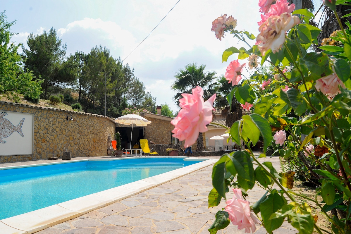 A clear blue swimming pool is framed by colorful roses, palm trees, and natural stone walls. Sun loungers and umbrellas provide shaded seating areas, creating a serene outdoor space. The vibrant greenery enhances the peaceful ambiance surrounding the property.