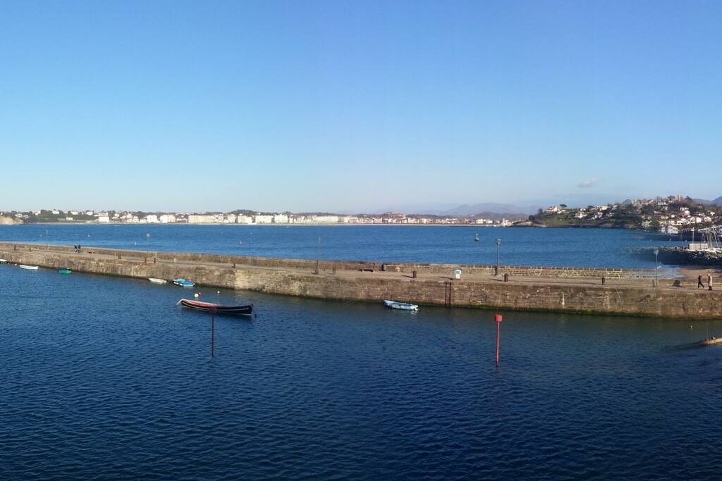 vue depuis le salon