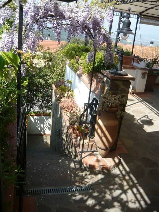 Ingresso