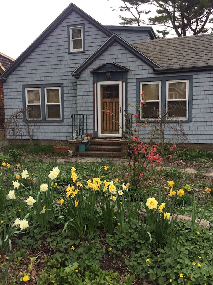 12 Best Airbnb Vacation Rentals In Greenport, New York Updated 2024