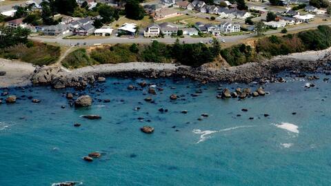 Beachfront Studio & Rothbar Puppy Park