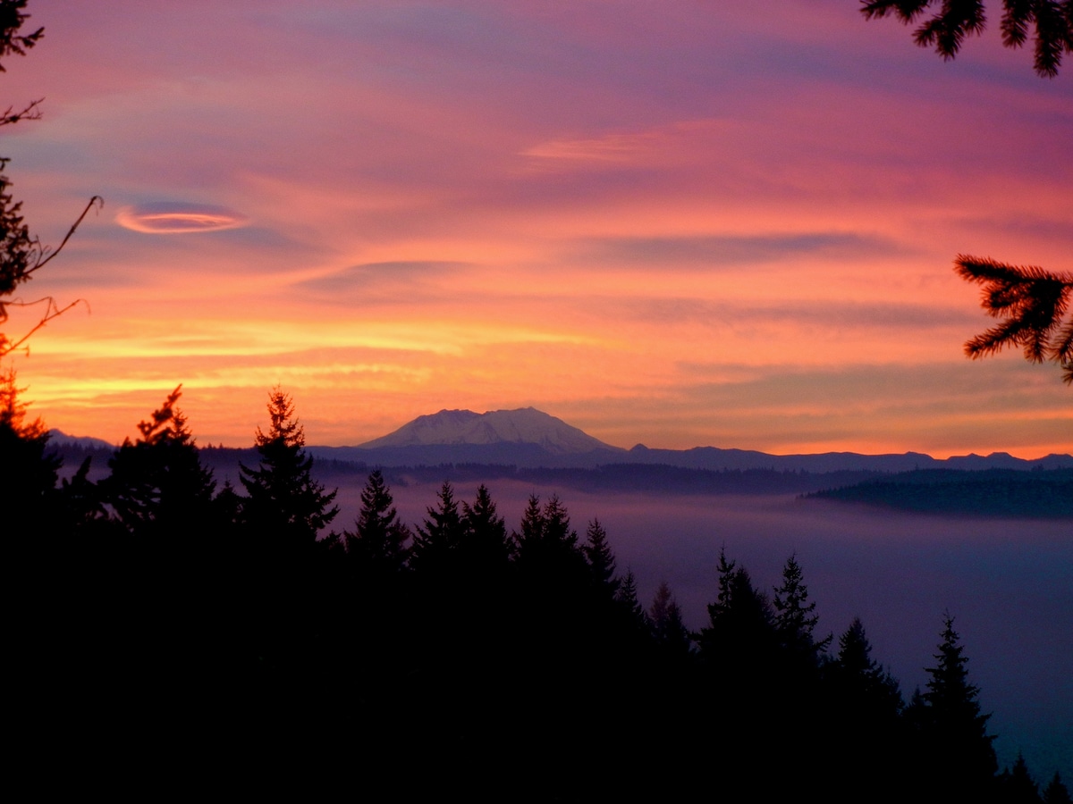 A vibrant sunrise paints the sky in shades of pink and orange, with Mt. St. Helens visible above a blanket of mist. Evergreen trees silhouette the foreground, creating a serene natural landscape that captures the beauty of the surrounding hills.