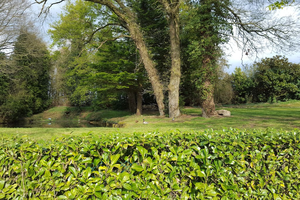 environnement bucolique calme et reposant
