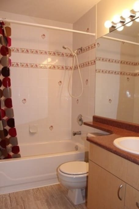 4 piece Guest Bathroom