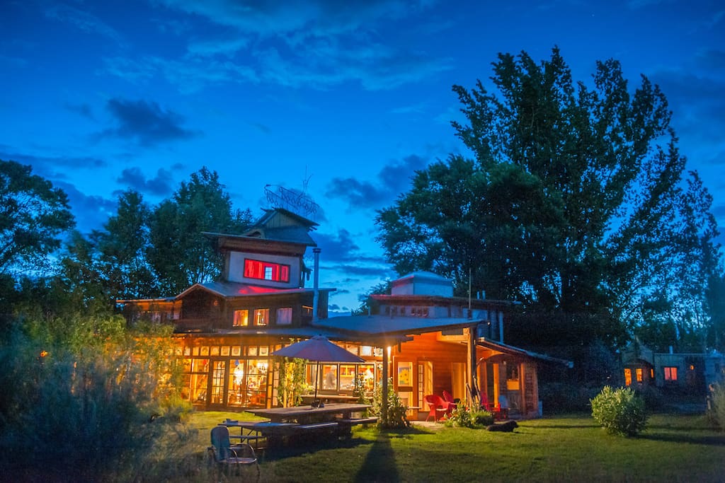 Springwild at night