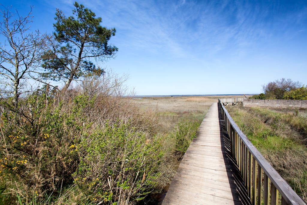 Sentier du littoral