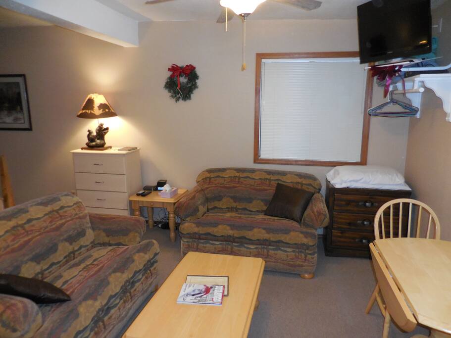 Two twin size sofa sleepers for the kids