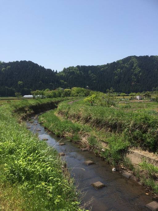 Early summer in the village.