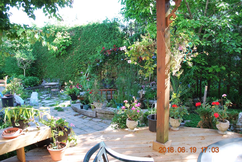 Back patio