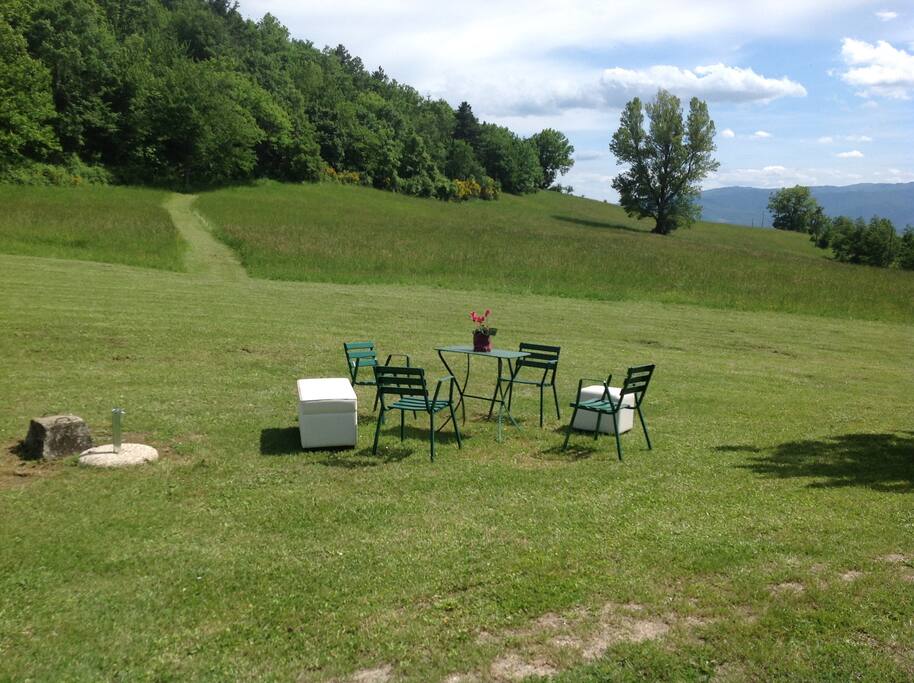 Vista del giardino