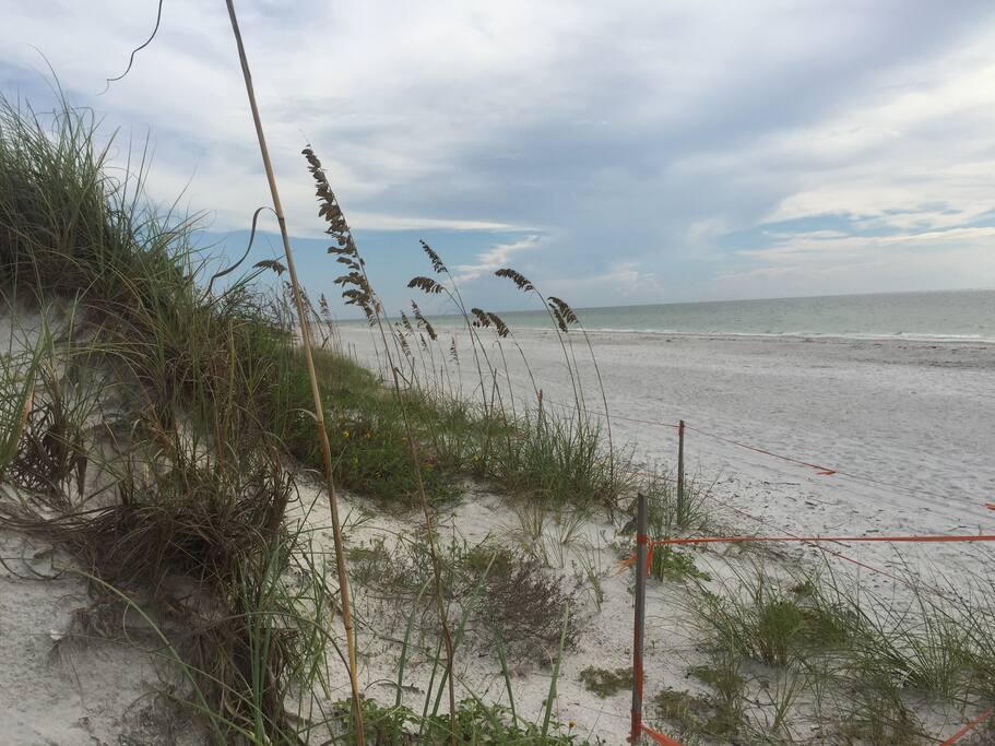 Beautiful Indian Rocks Beach