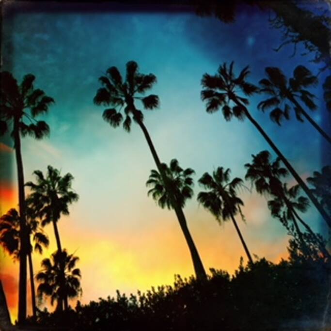 sunset looking up