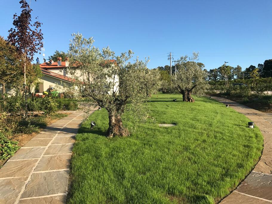 Giardino