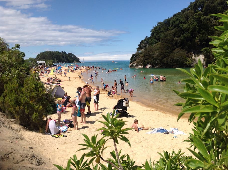Our beach. The best in NZ