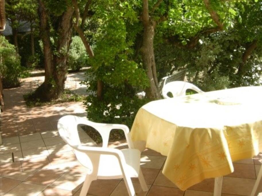 terrasse ombragée