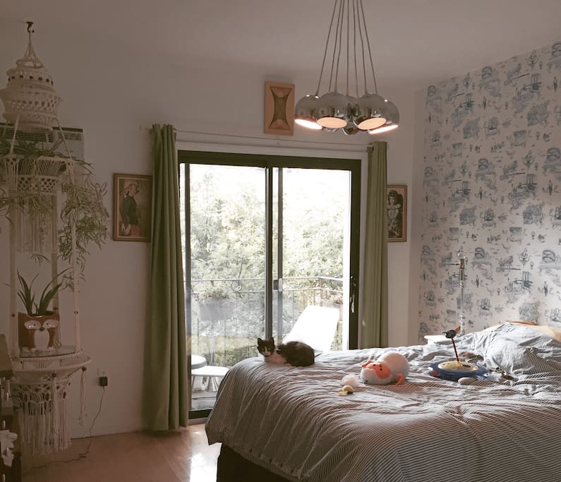 Master bedroom with the light on, cat and toys won't be there.