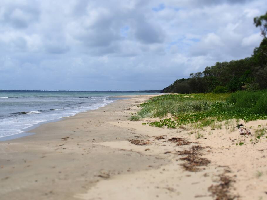 Craignish beach a 3min walk from Driftwood Apartment.