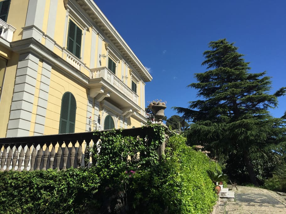 La terrazza fronte mare