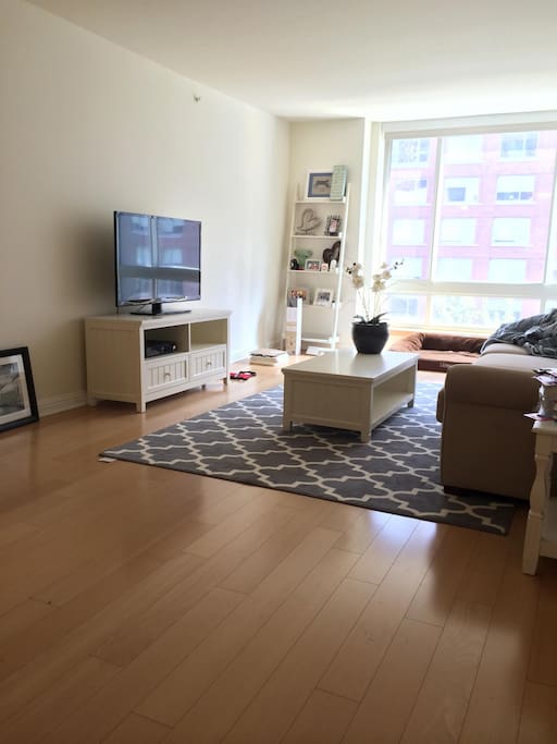 Huge living room with king size pull out couch