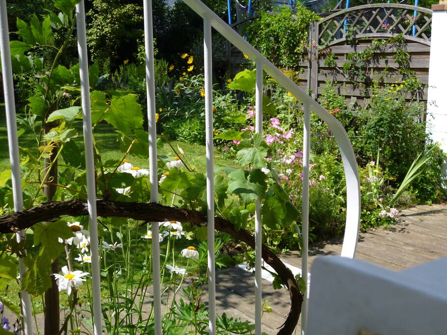 Blick in den Garten