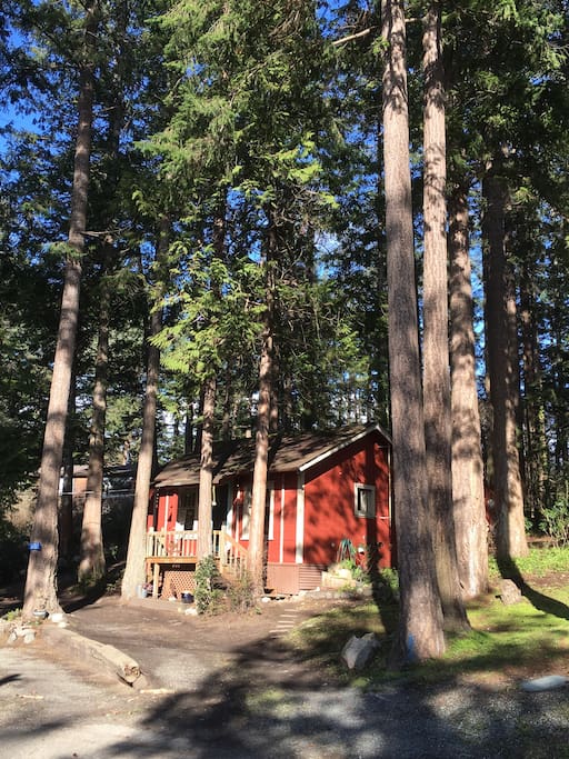 Kahlo Cottage. A tiny cottage surrounded by tall pines with a lovely water view.