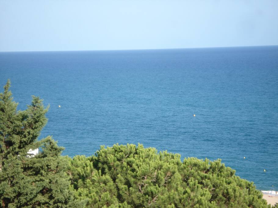 VISTAS DESDE LA TERRAZA SUPERIOR