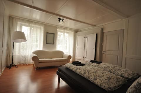 Interlaken Town House.  Sleeps 5 to 12 guests