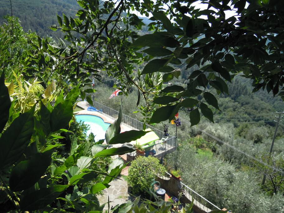 La Piscina vista dalla casa