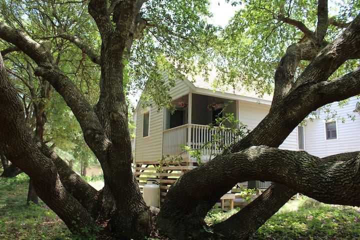 Little House in the Live Oaks