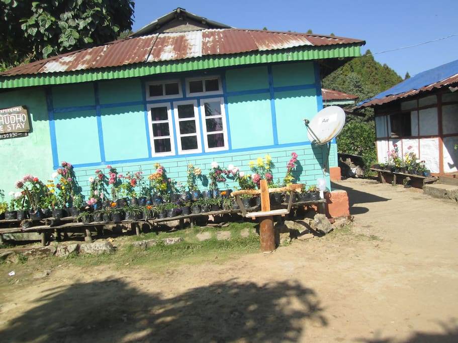 House view