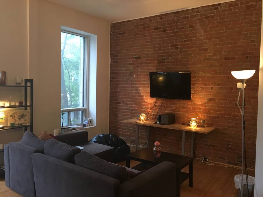 Living Room - couch pulls out into a double bed